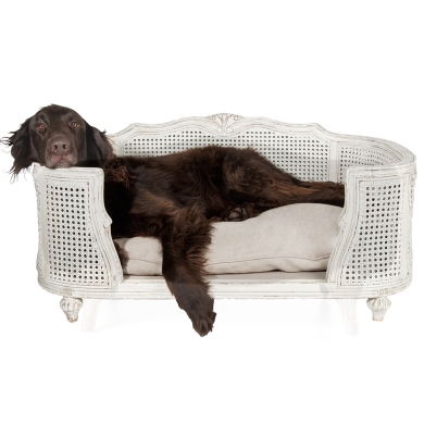 Canapé de luxe pour chien - Modèle Arthur
